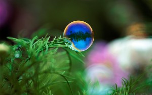 Bubble floating near grass, Furano, Hokkaido, Japan
