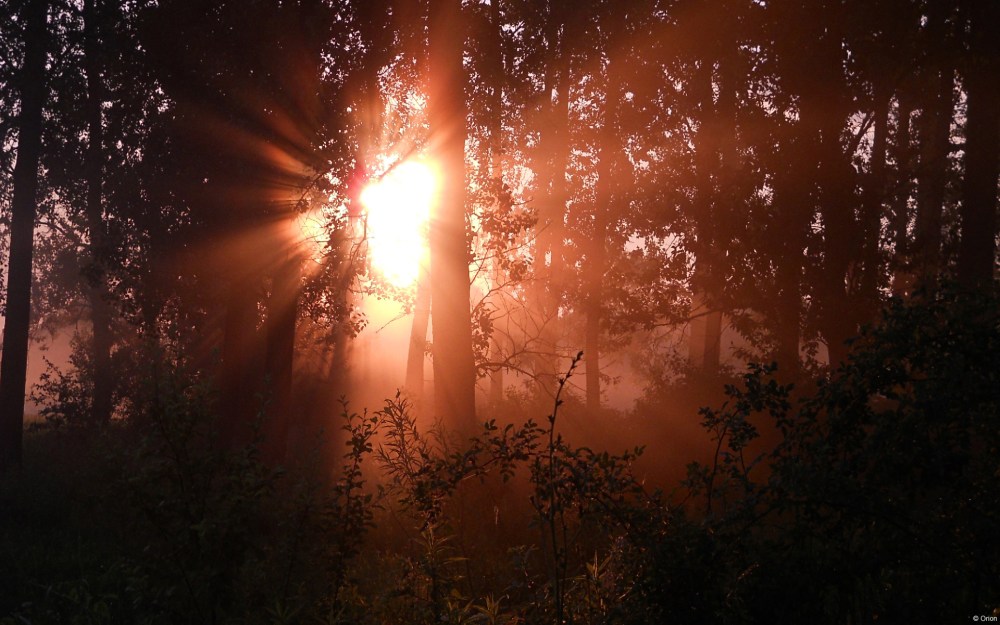 Dawn, near river San, Stalowa Wola, Poland